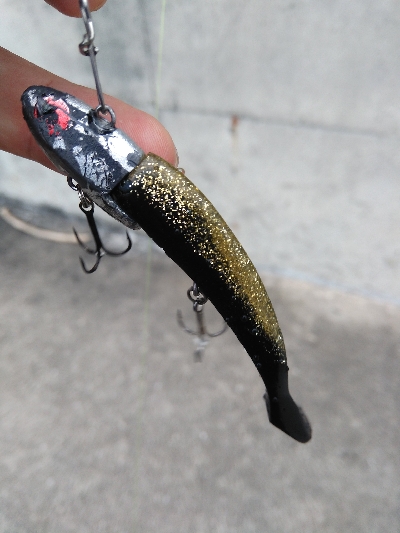 VJ16　クロ金でシーバス