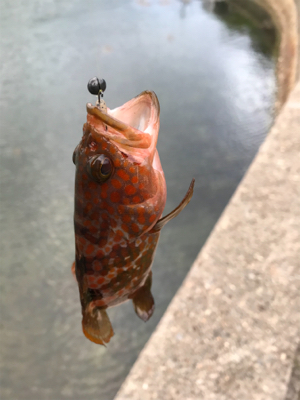 NO.9 夕、夜の部