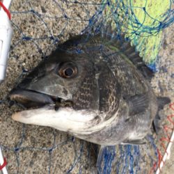 活性の高い日！