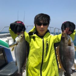 今年1回目イサキ！！