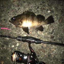 爆風にお手上げ