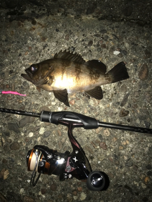 爆風にお手上げ