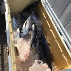 沖縄 パヤオ ジギング