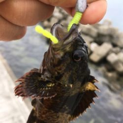 チビガシラ祭り