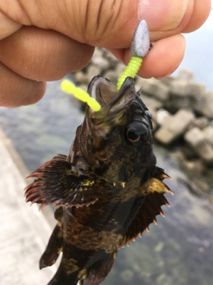 チビガシラ祭り