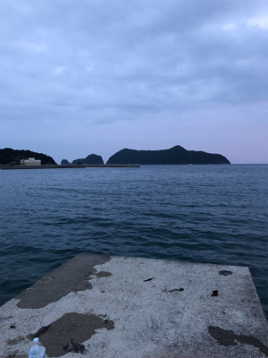 大ギス釣れやん