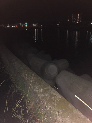 オクトパッシング