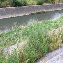 落ちパクでゲット