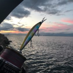 青物❌  →  足下⭕️