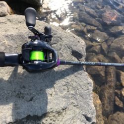 ベイトチニング