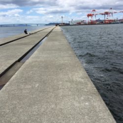 ショアジギング