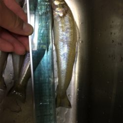 キスおいしい！！！！