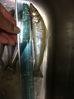 キスおいしい！！！！