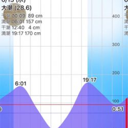 ドブ川シーバス