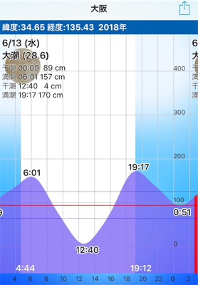 ドブ川シーバス