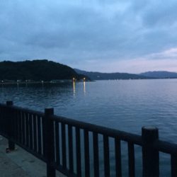 ヒラメ釣れました