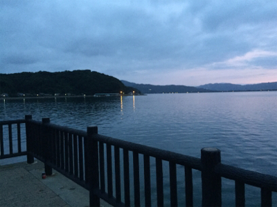 ヒラメ釣れました