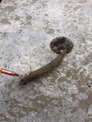 エソエソエソエソ