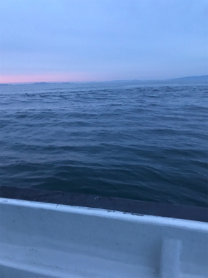 タイラバ〜シーバス