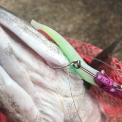 寝坊、雨上がりの昼ジーザス