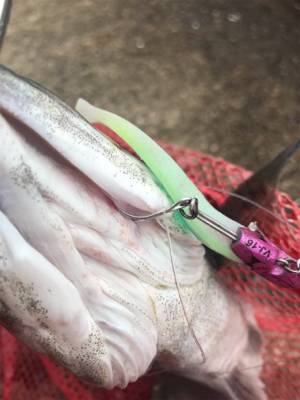 寝坊、雨上がりの昼ジーザス