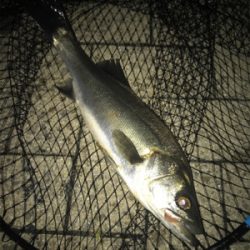 飲み会からの徹夜で3本