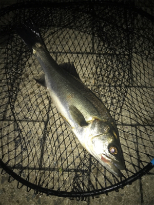 飲み会からの徹夜で3本