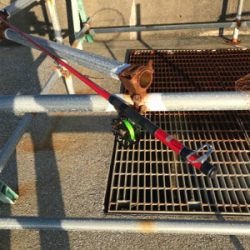 やっぱり釣りは楽しい！