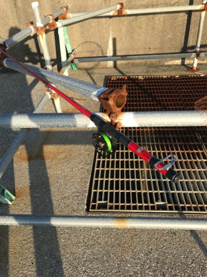 やっぱり釣りは楽しい！