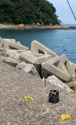 サビキで豆アジ