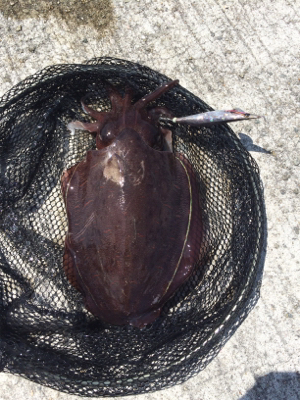 デイエギング☆GUNNING-STYLEメンバー