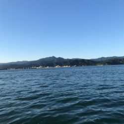 マイボート ジギング、イカメタル釣行