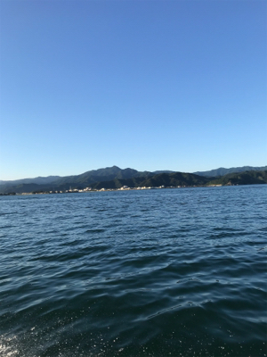 マイボート ジギング、イカメタル釣行