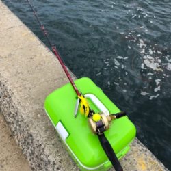 オクトパッシング