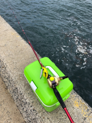 オクトパッシング