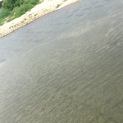 朝一地震前に爆釣