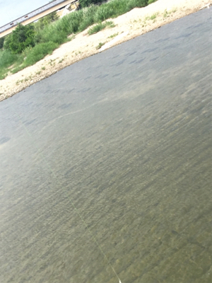 朝一地震前に爆釣