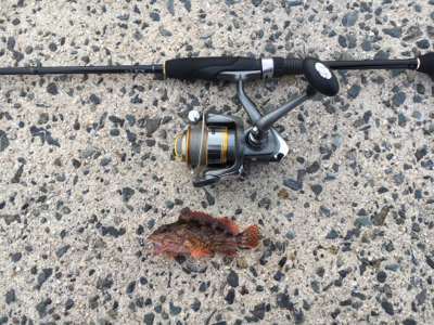 夜はライトゲーム