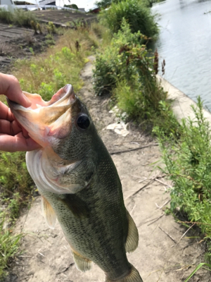 初五名ダムその他もろもろ