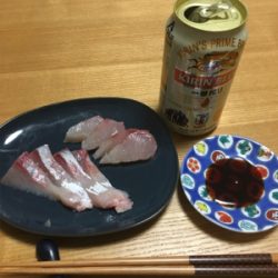 初めて釣れました