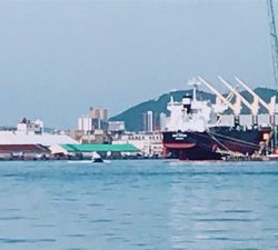 根掛かりからのガシラ