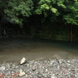 渓流釣り