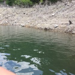 食い上げバイト!