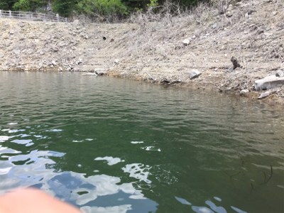 食い上げバイト!