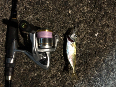 小雨の中アジング