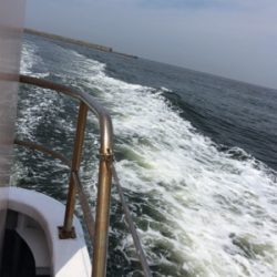 自己記録更新 １０UP