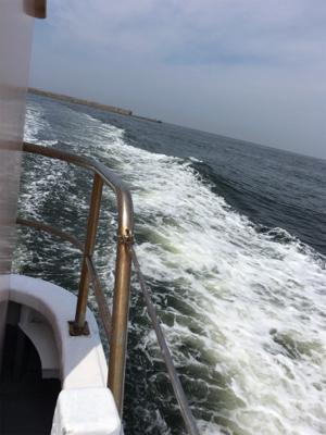 自己記録更新 １０UP