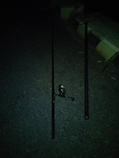 久々の1日1匹以上