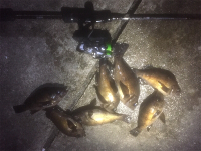 朝までメバリング！