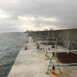 黒鯛釣りは楽しい！